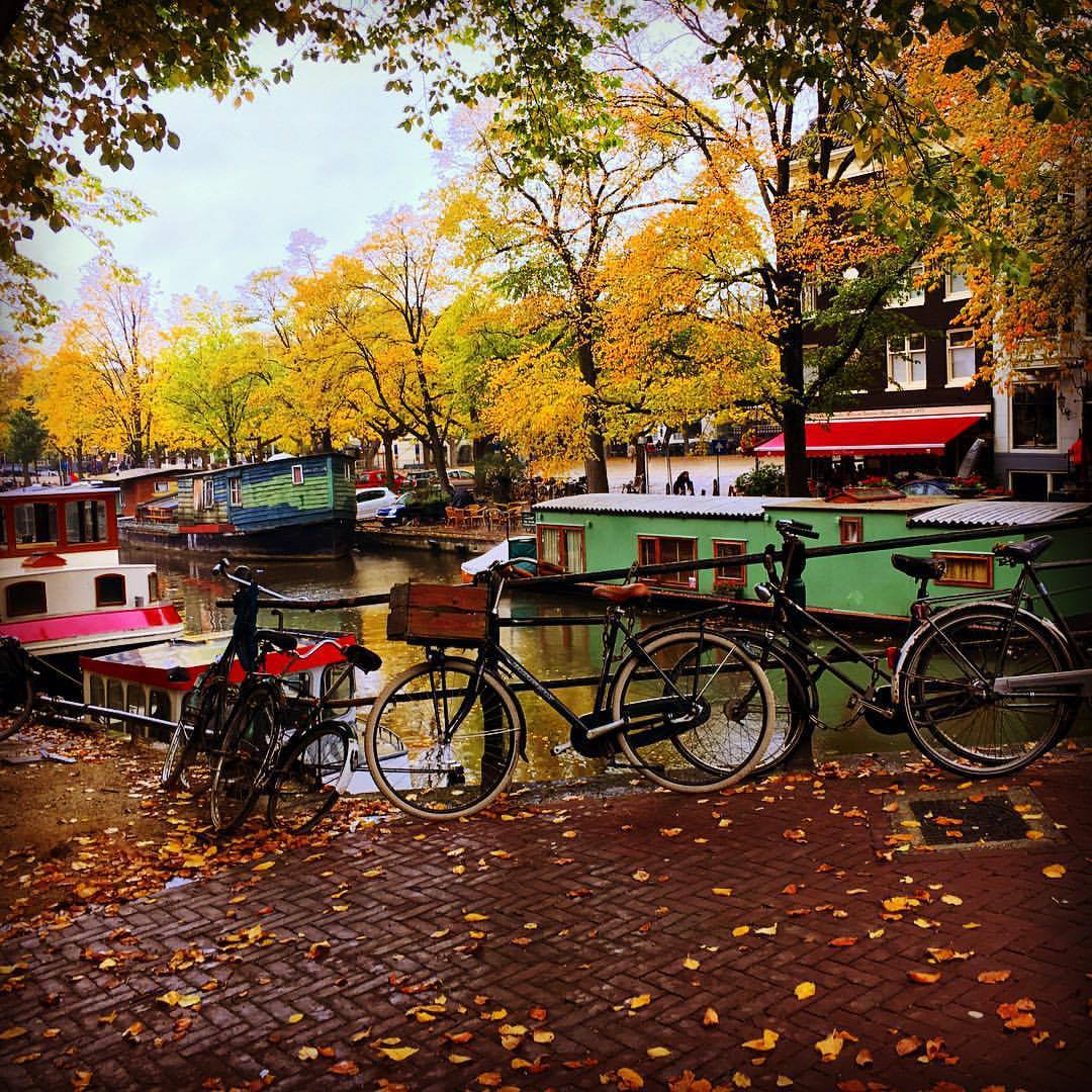 Biciletas e barcos a beira de um canal em Amsterdam, com paisagem outonal